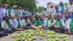 மா விவசாயிகள் கோரிக்கையை திமுக அரசு கண்டுகொள்ளவில்லை - இபிஎஸ்