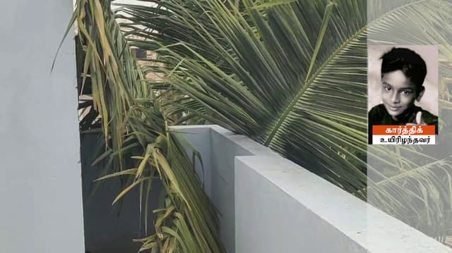 மரத்தில் இருந்து விழுந்து உயிரிழந்ததாக கூறப்படும் சிறுவன்