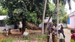 விஷ வண்டு கடித்த சிறுவன் தூங்கிய நிலையில் மரணம்