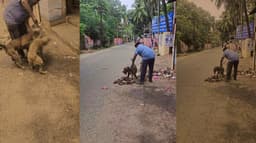 அரசால் தடைசெய்யப்பட்ட நாயால் பொதுமக்கள் அச்சம்.. தெருநாய்களை கடித்து குதறும் வீடியோ வைரல்..
