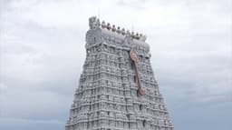திருச்செந்தூர் கோவில் தந்திரிகளுக்கு தங்க குடம்  வரவேற்பு..