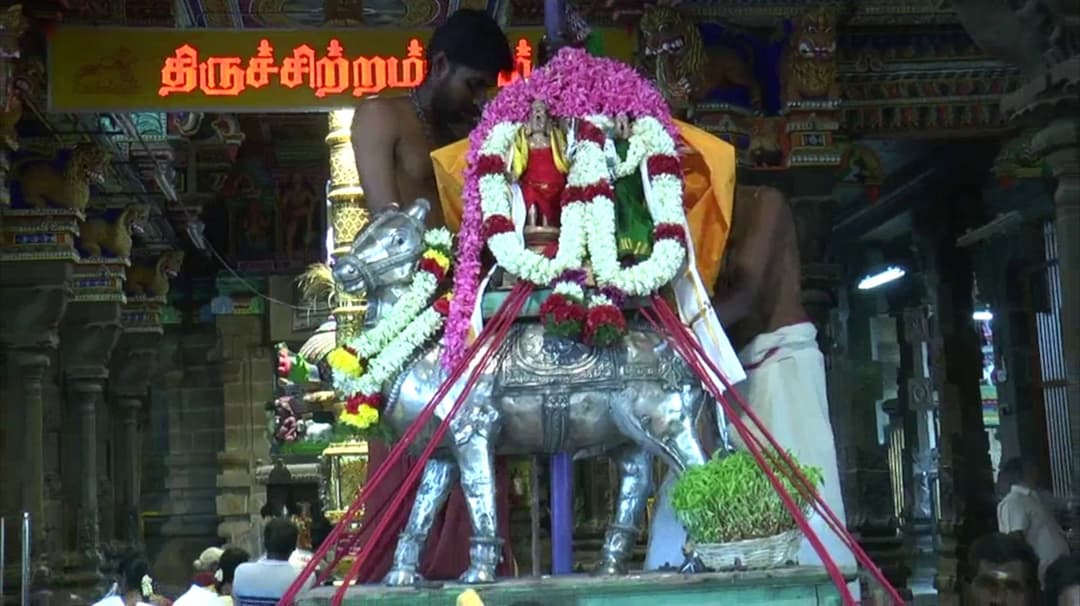 பேரூர் பட்டீசுவரர் கோவிலில் நாற்று நடவு திருவிழா