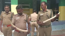 ரூ.2 கோடி மதிப்பிலான யானைத் தந்தங்கள் கடத்தல்