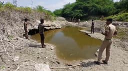 கோயம்புத்தூர் மழைநீர் தடுப்பணையில் உள்ள முதலையை பிடிக்கும் பணி தீவிரம்