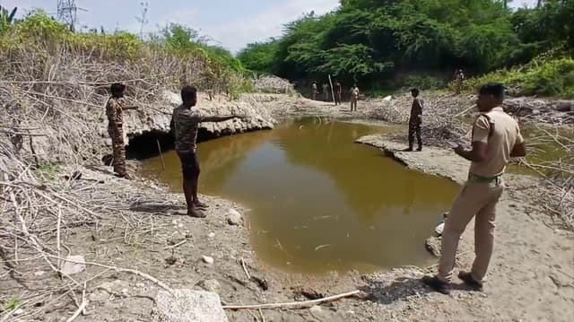 கோயம்புத்தூர் மழைநீர் தடுப்பணையில் உள்ள முதலையை பிடிக்கும் பணி தீவிரம்