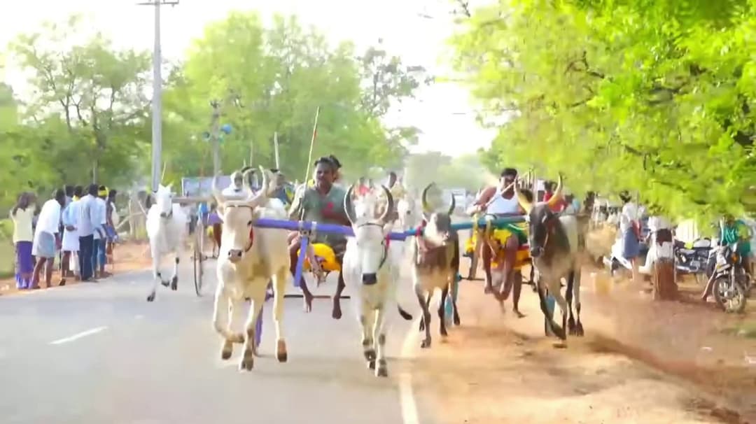 சிவகங்கை மாவட்டம்  பாகனேரியில் இரட்டை மாட்டு வண்டி பந்தயம்