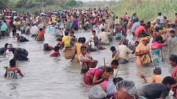 கோவில் கண்மாயில் பாரம்பரிய மீன்பிடித் திருவிழா கோலாகலம்