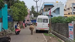 பட்டப்பகலில் வீட்டிற்குள் நுழைந்து இளம்பெண்ணிடம் அத்துமீறலில் ஈடுபட்டு தப்பியோடிய மர்ம நபர்..!