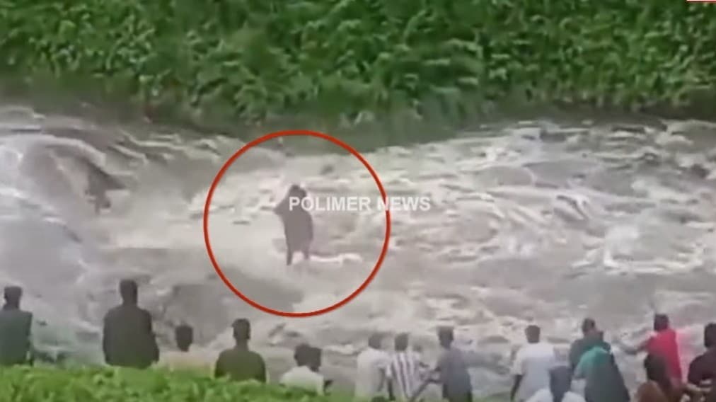 துணிகளை துவைத்துக் கொண்டிருந்தபோது வெள்ளத்தில் சிக்கிக்கொண்ட தாய், மகள்