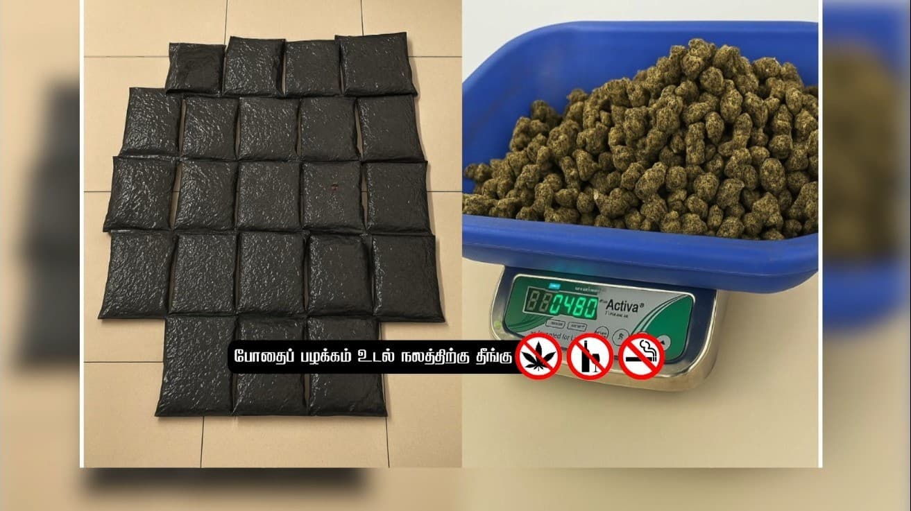 தாய்லாந்தில் இருந்து இரண்டு விமானங்களில், சென்னைக்கு கஞ்சா கடத்தல்..! 3 பேர் கைது..