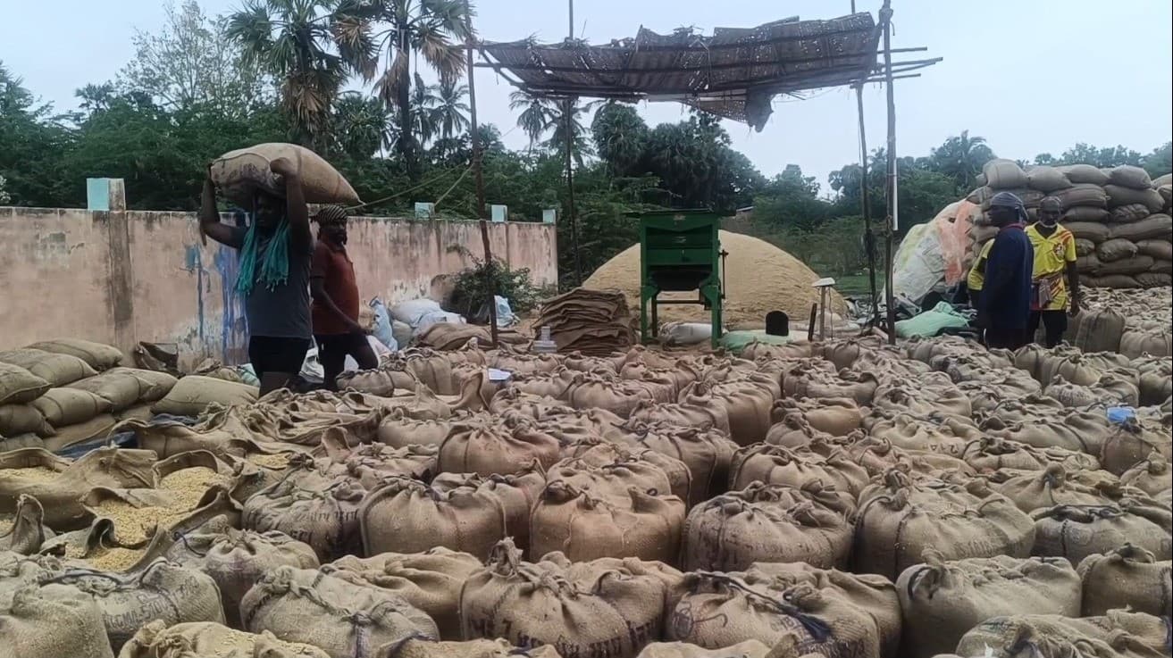 தென்திருப்பேரையில் நிரந்தர நெல் கொள்முதல் நிலையம் அமைக்க விவசாயிகள் கோரிக்கை..!