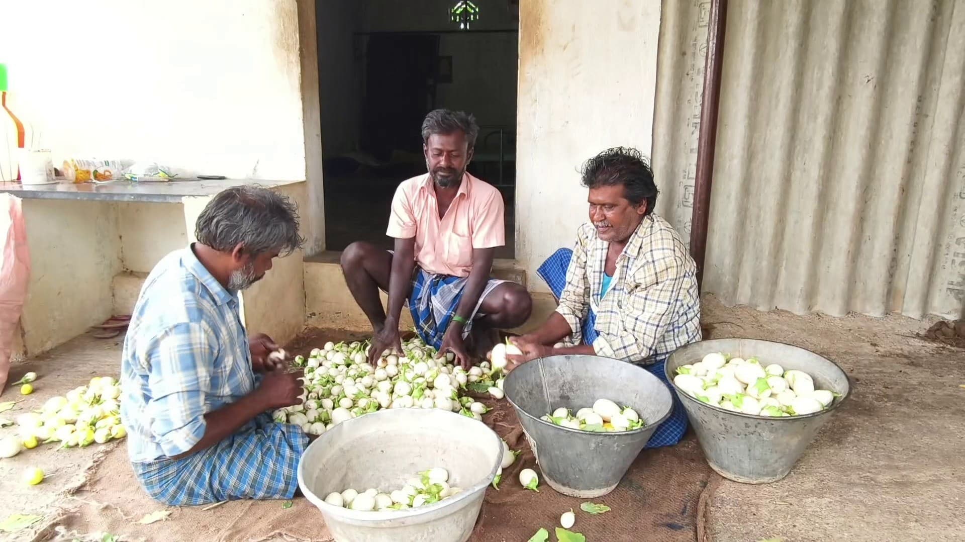 வெண்டை, கத்திரி, புடலங்காய்களுக்கு போதிய விலை கிடைக்கவில்லை
- விவசாயிகள் வேதனை