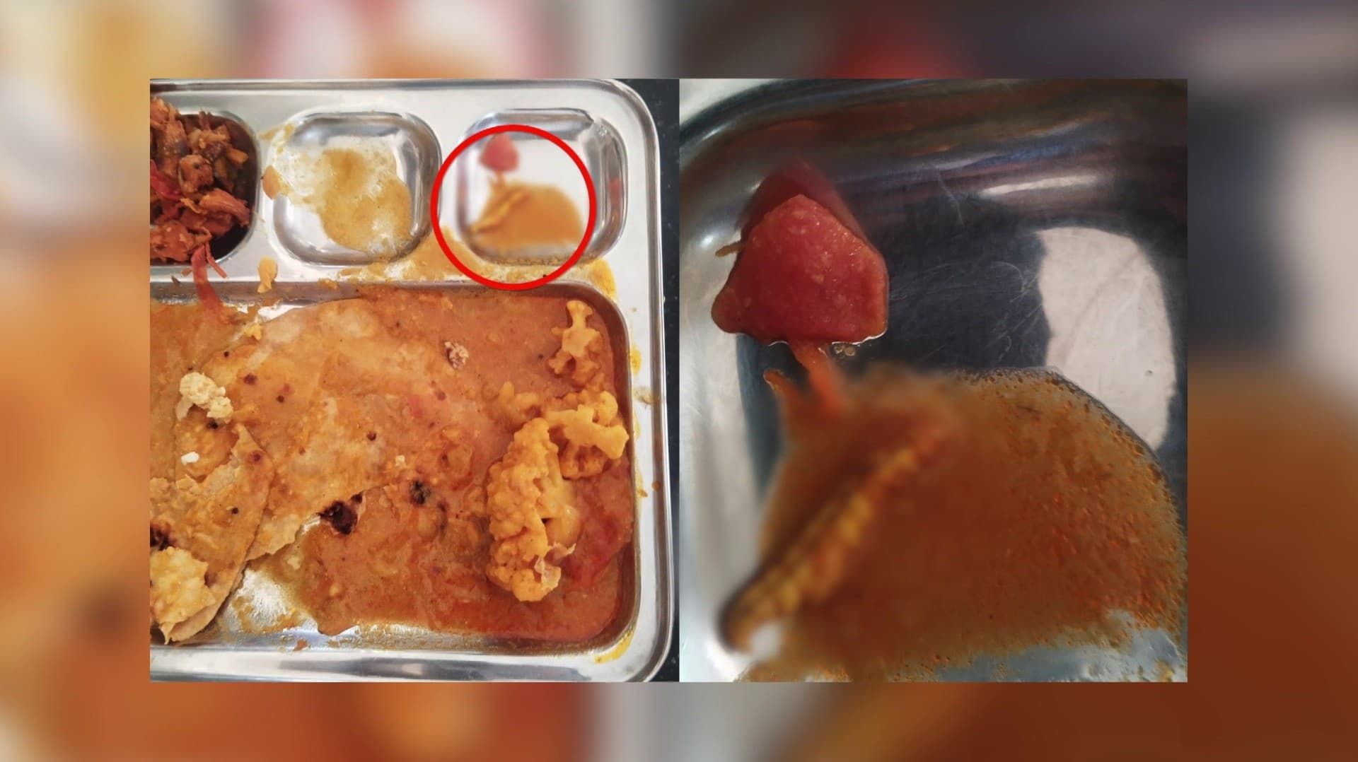 உணவில் புழு, கரப்பான் பூச்சிகள் இருப்பதாக தனியார் கல்லூரி விடுதி மாணவர்கள் குற்றச்சாட்டு