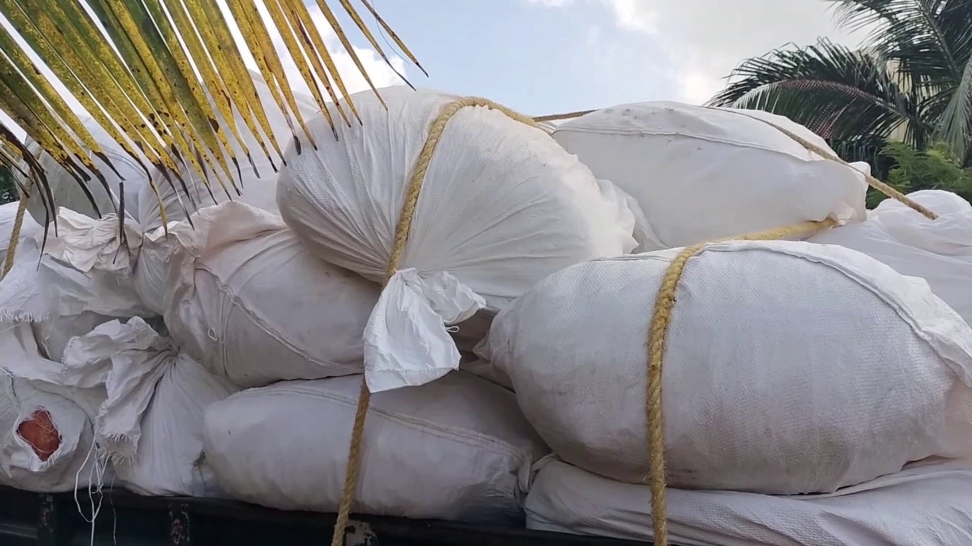 இலங்கைக்கு கடத்தப்படுவதற்காக பதுக்கி வைக்கப்பட்டிருந்த 1,200 கிலோ சமையல் மஞ்சள்..