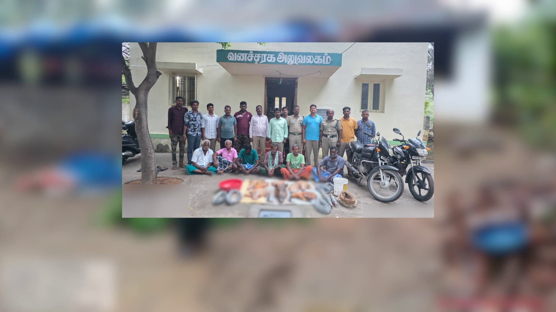 காட்டுப் பன்றியை வேட்டையாடிய 6 பேர் சிக்கினர்