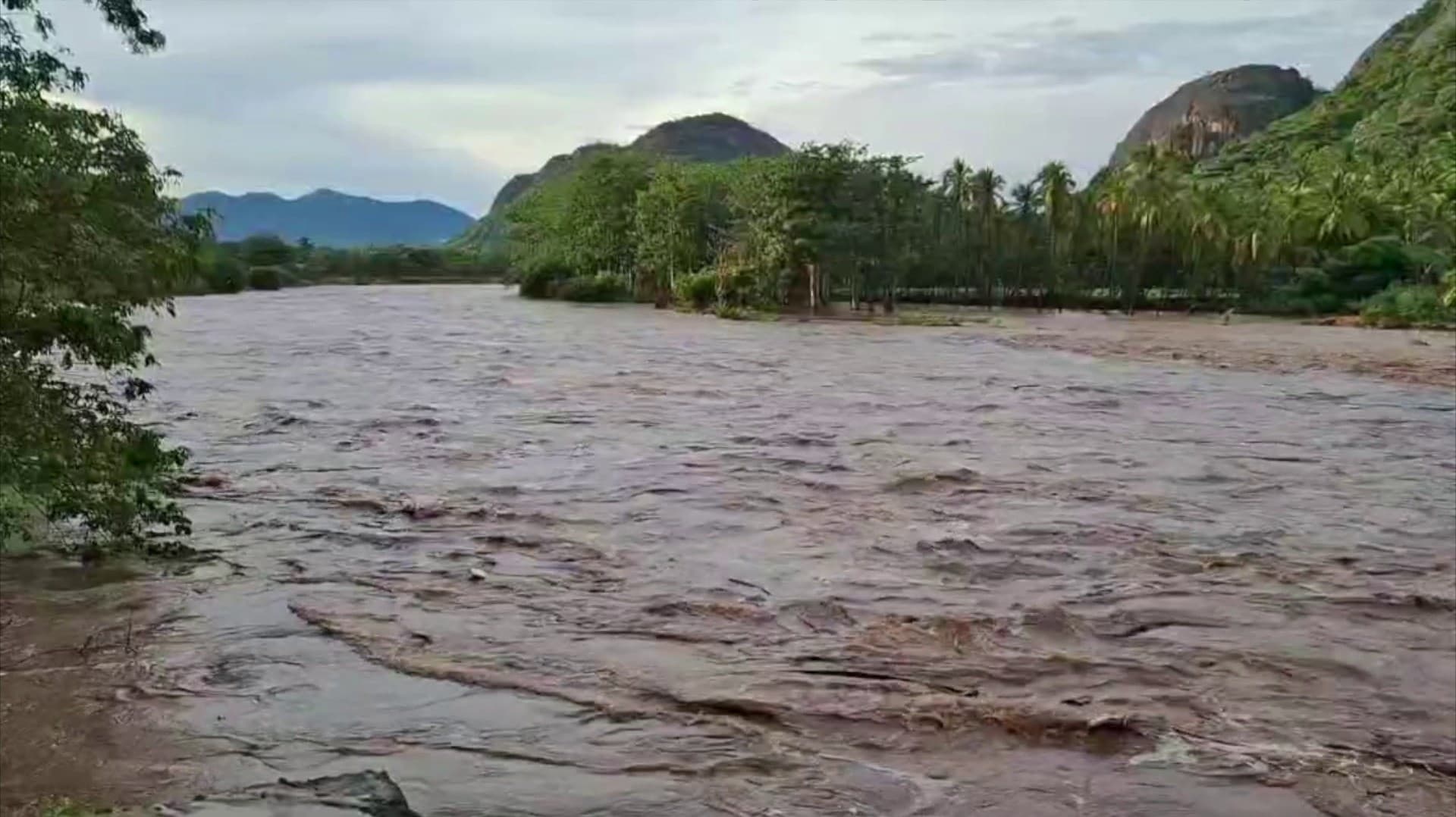 கனமழையால் வைகை ஆற்றில் கரைபுரண்டோடும் வெள்ளம்