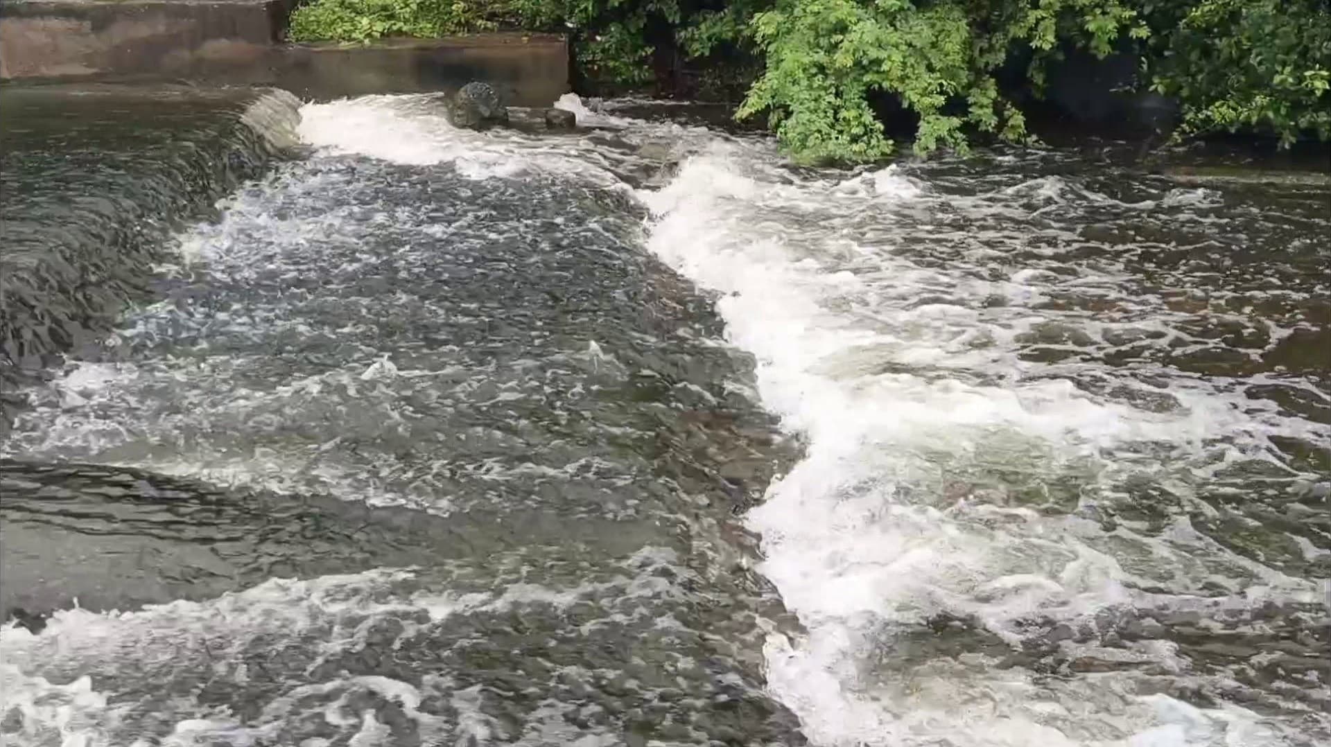 கனமழையால் ராணிப்பேட்டை மாவட்டத்தில் முழு கொள்ளளவை எட்டிய 192 ஏரிகள்