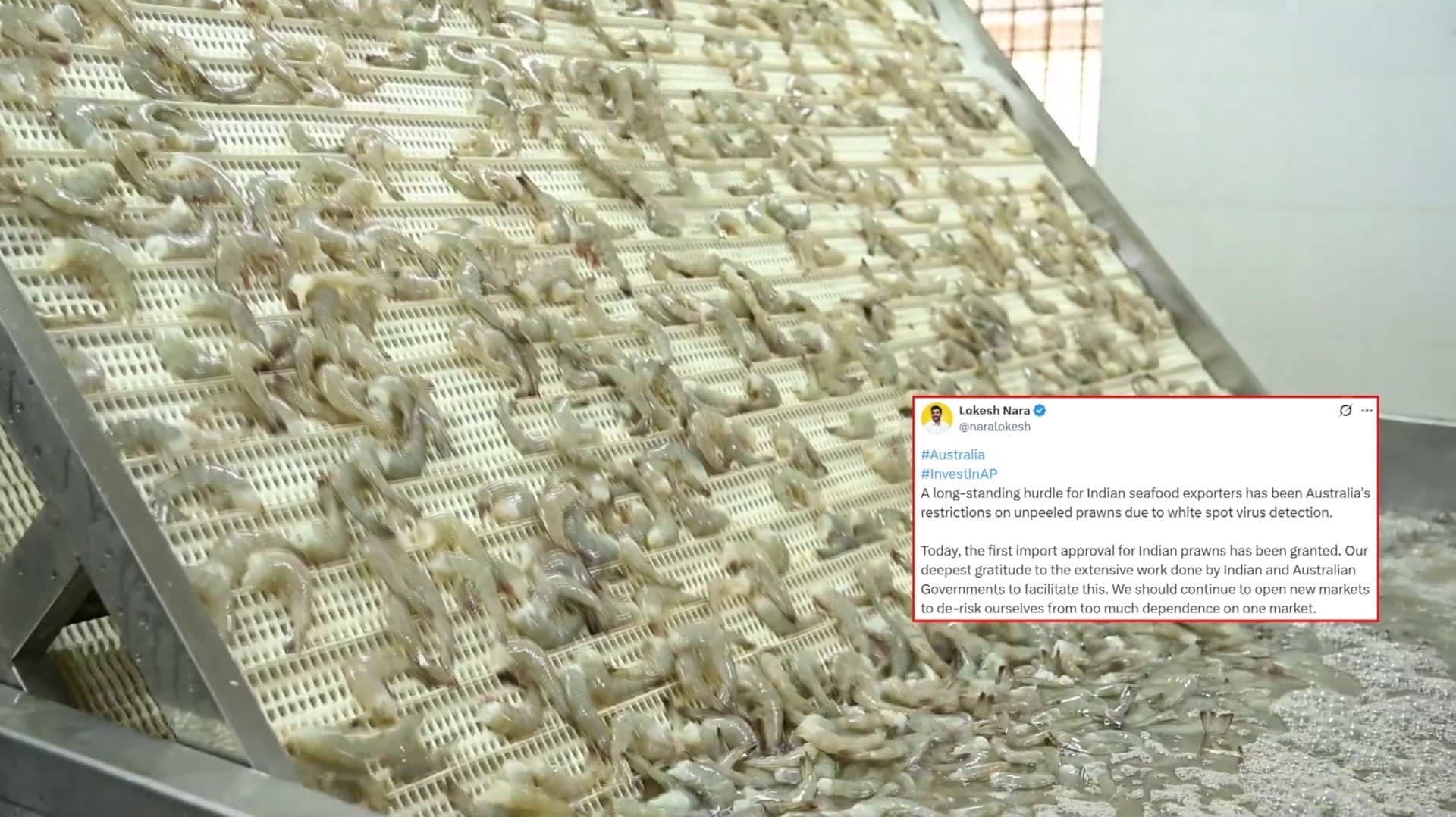 உரிக்கப்படாத இறால் இறக்குமதிக்கு ஆஸ்திரேலியா அனுமதி