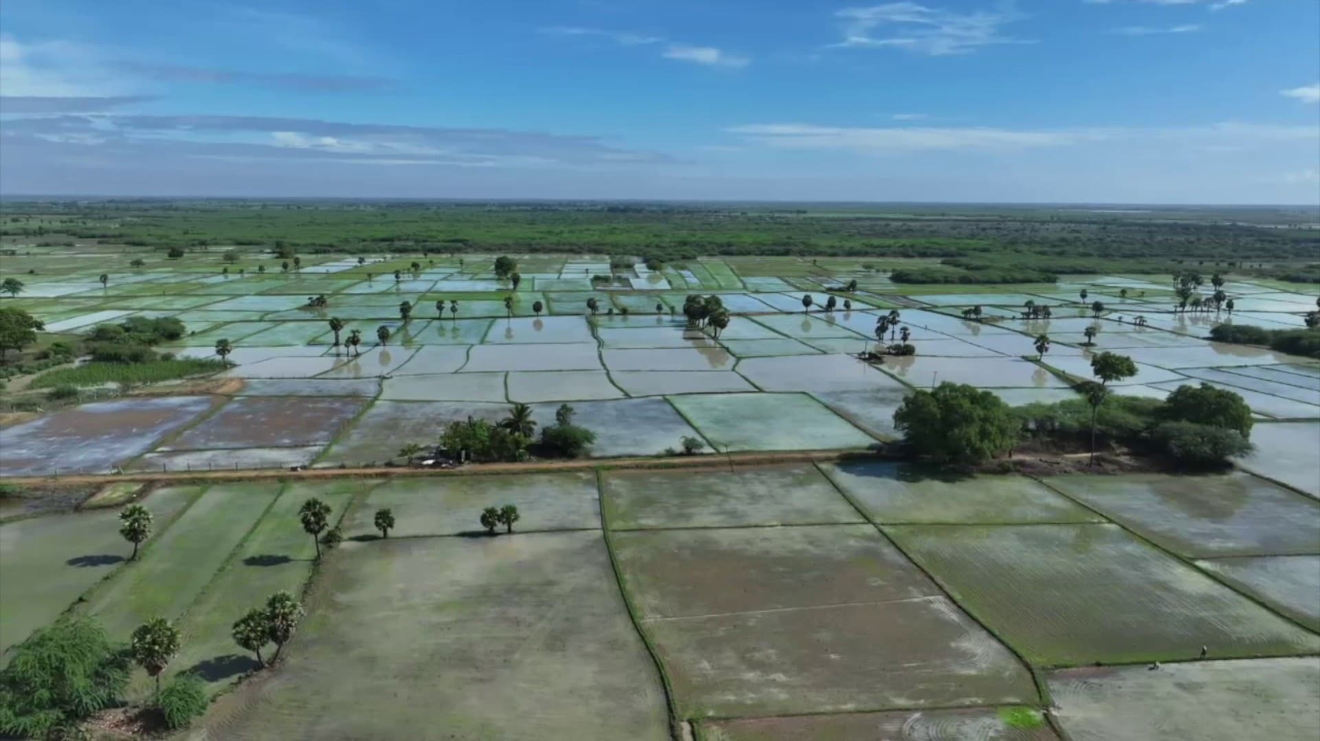 விளைநிலங்களில் தேங்கிய மழைநீரால் விவசாயிகள் வேதனை.!