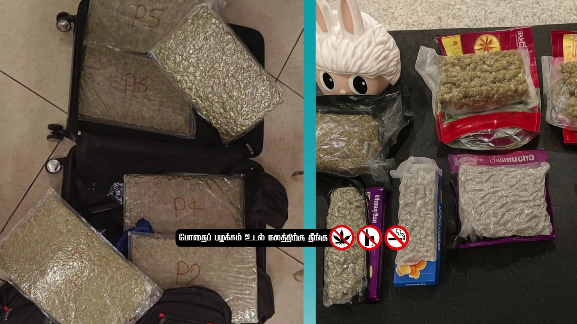 தாய்லாந்திலிருந்து சென்னைக்கு விமானத்தில் கஞ்சா கடத்தல்