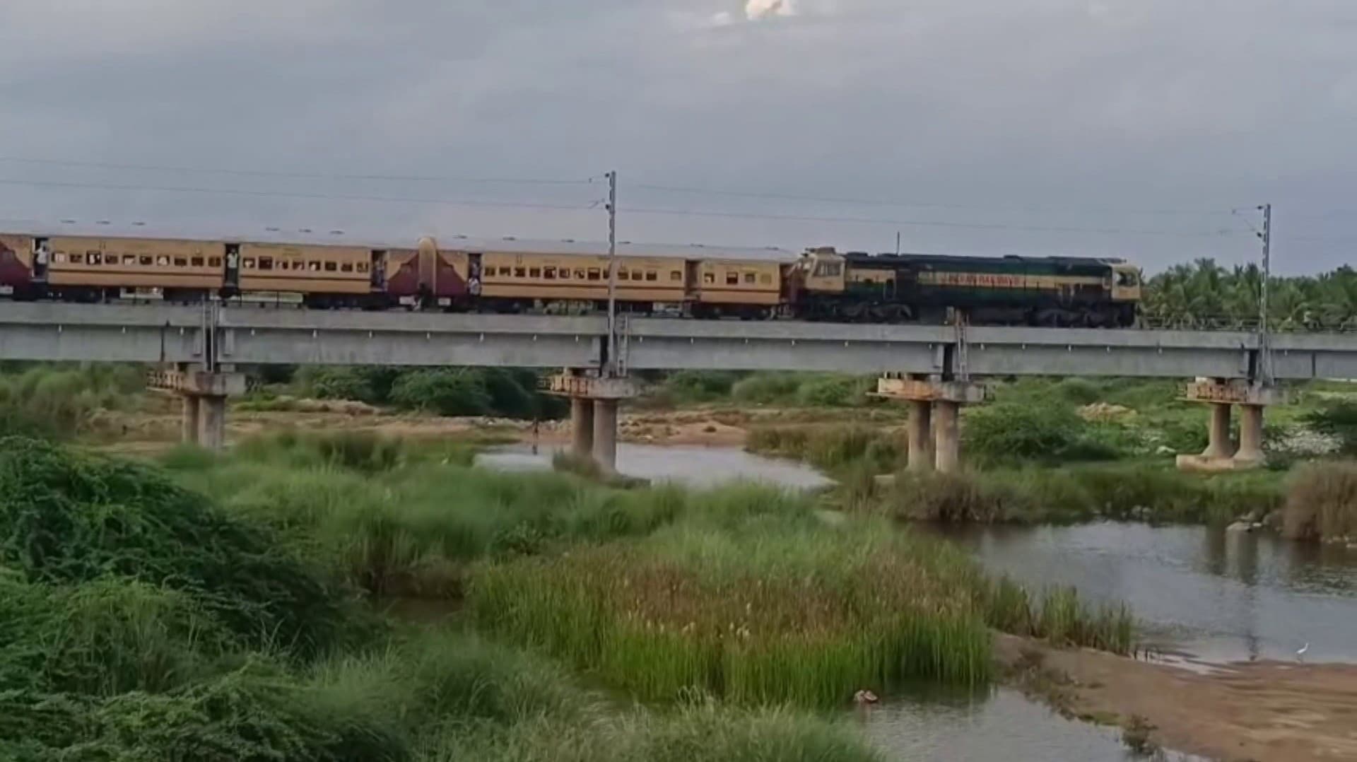 பாதையின் குறுக்கே வந்த மாடு மீது மோதிய பயணிகள் ரயில்