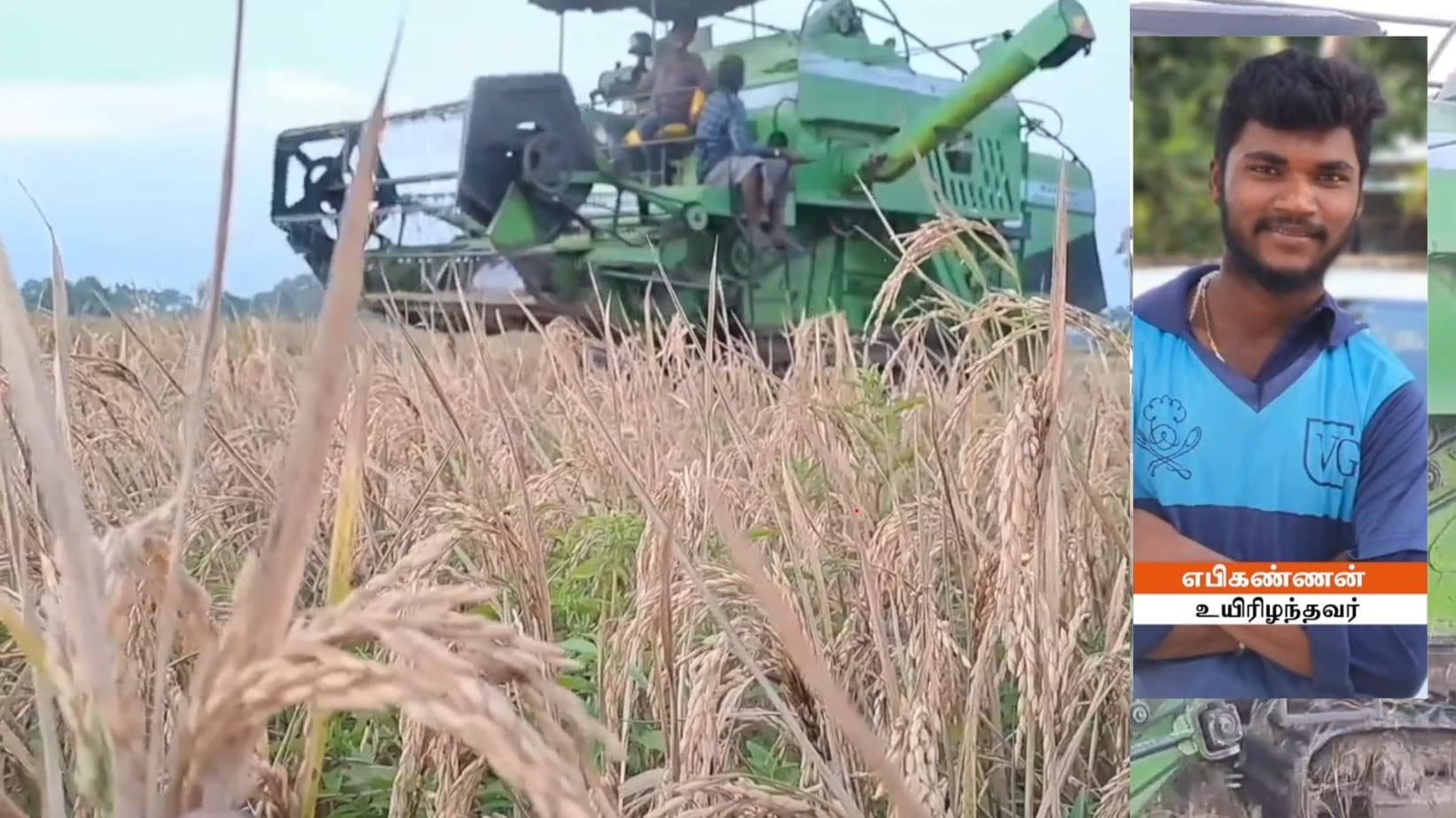 நெல் அறுவடை இயந்திரத்தில் சிக்கி இளைஞர் பரிதாப உயிரிழப்பு.!