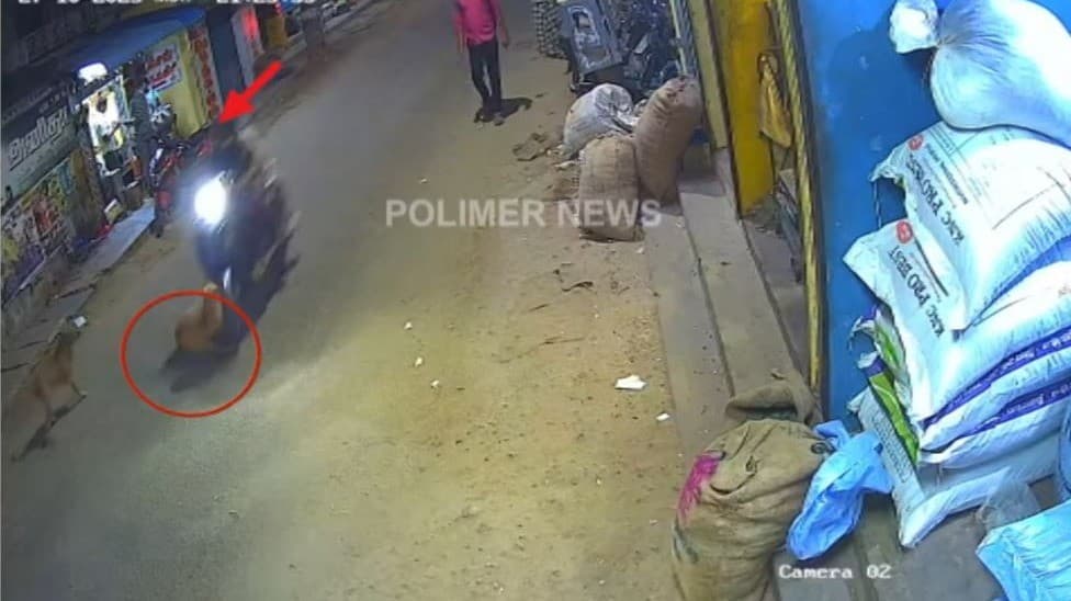 குறுக்கே வந்த தெருநாய் - பைக்கில் சென்ற இளம்பெண்கள் நிலைதடுமாறி கீழே விழுந்த காட்சி