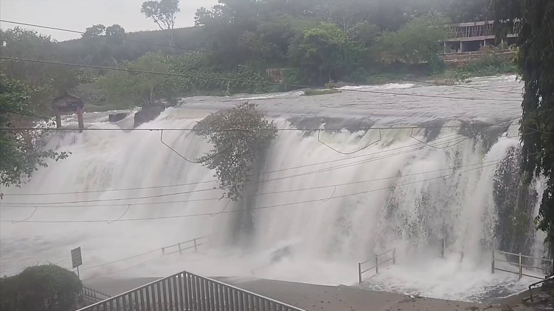 தொடர் மழையால் பேச்சிப்பாறை அணை 45 அடியை எட்டியது