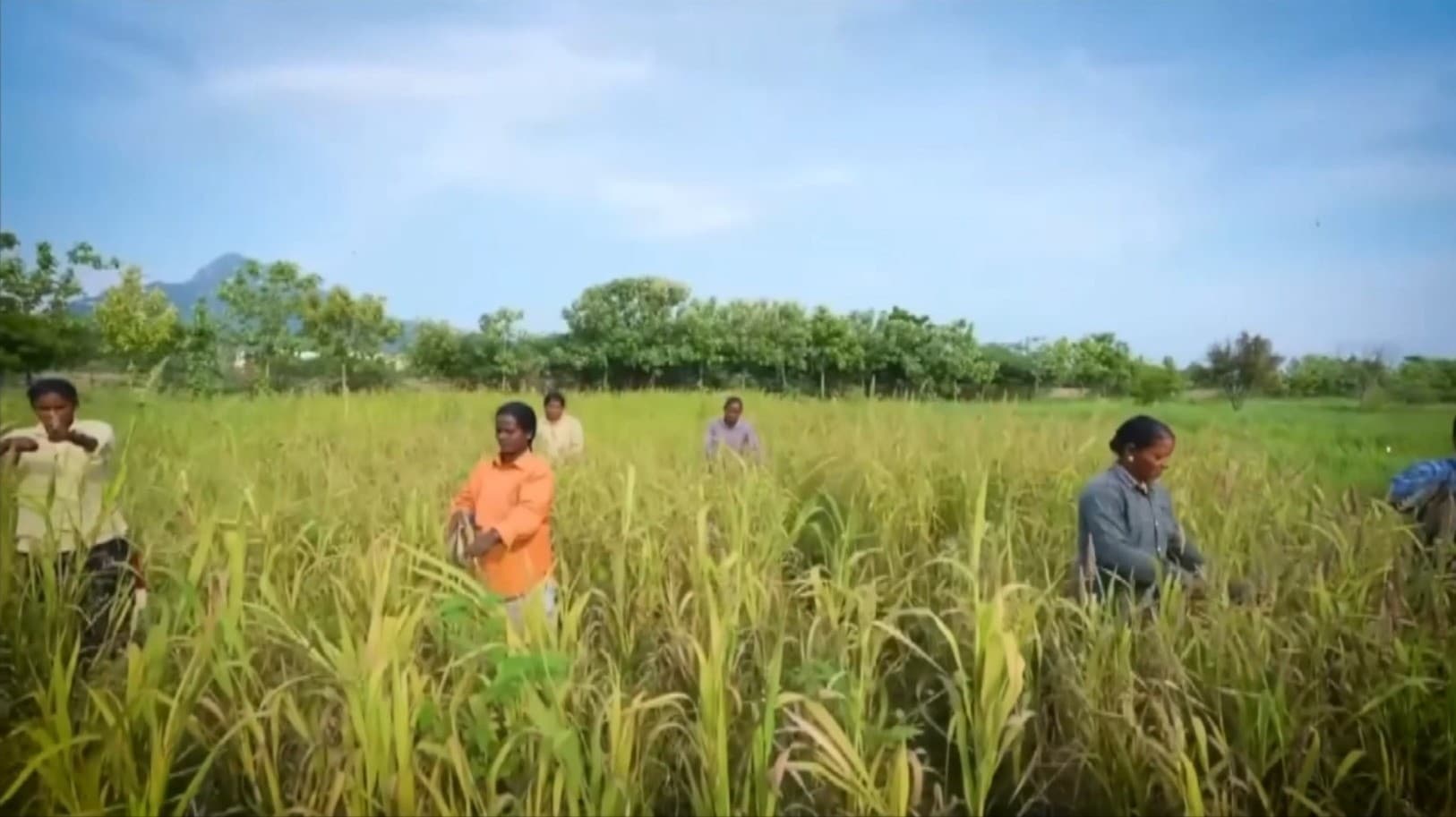 விவசாய பணிகளில் ஆர்வம் காட்டும் இளைஞர்களுக்கு அரசு உதவ வேண்டும்: ராமதாஸ்