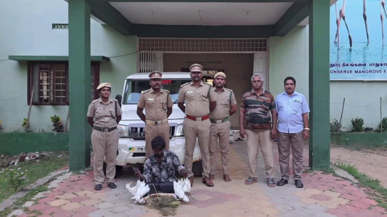 பறவைகளை வேட்டையாடி விற்பனை செய்ய முயன்ற வாலிபர் கைது