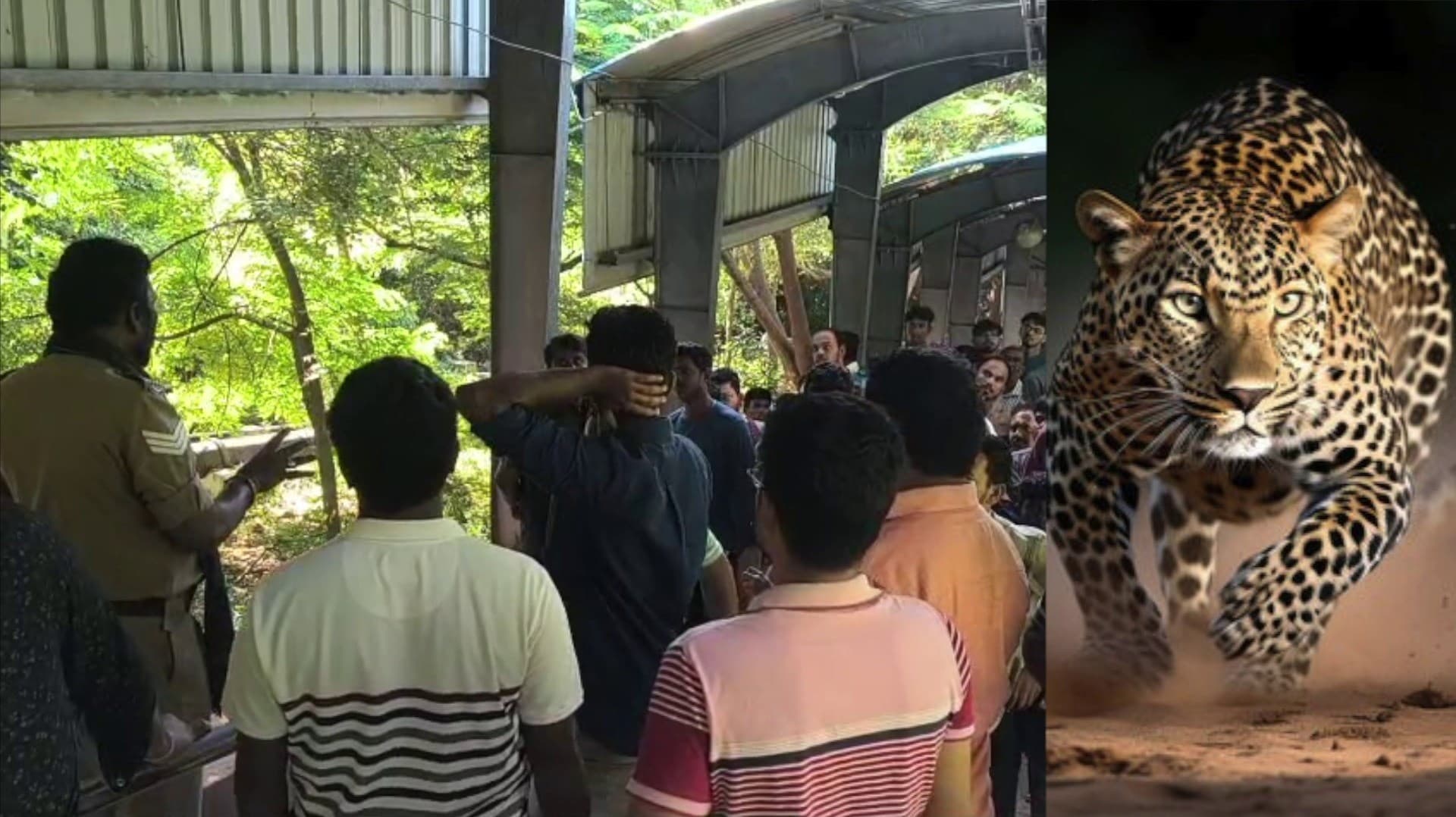 திருமலை, ஸ்ரீவாரிமெட்டு பகுதியில் சிறுத்தை நடமாட்டம்