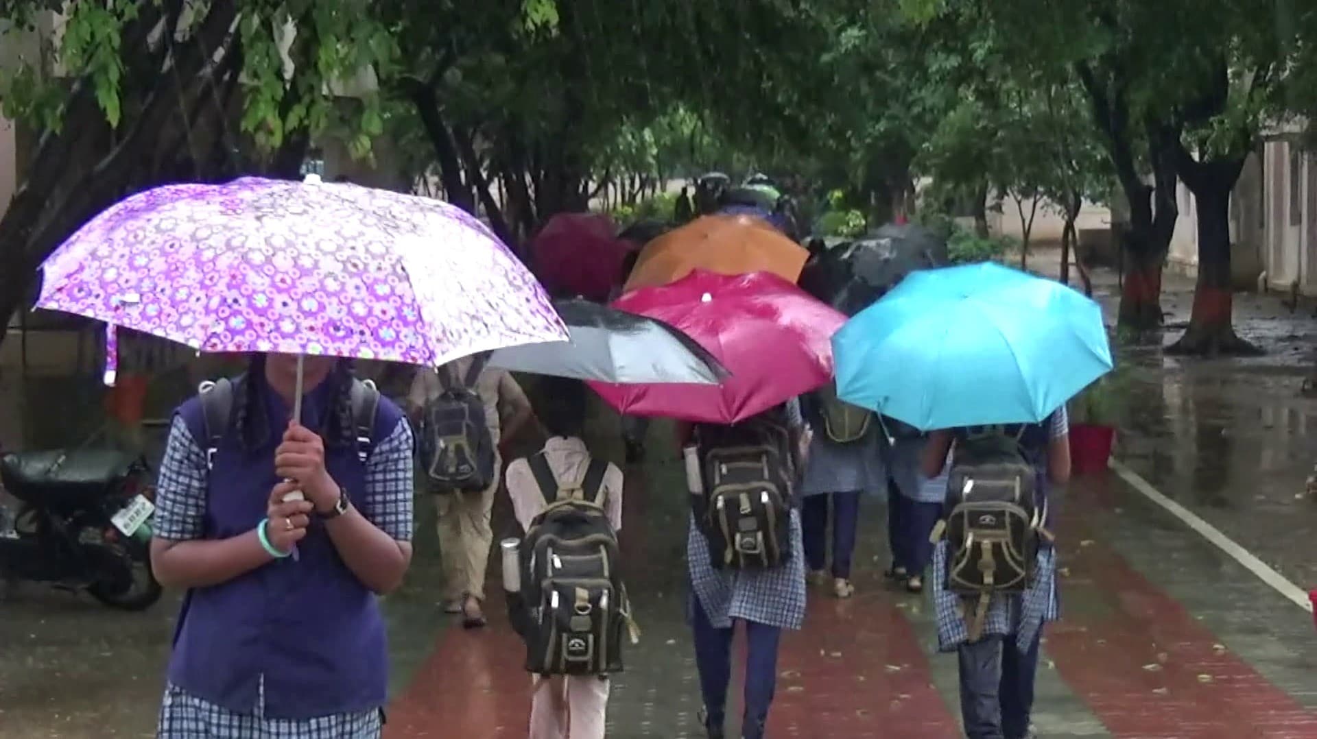 மழை காரணமாக திருப்பத்தூர் மாவட்டத்தில் பள்ளிகளுக்கு மட்டும் விடுமுறை அறிவிப்பு