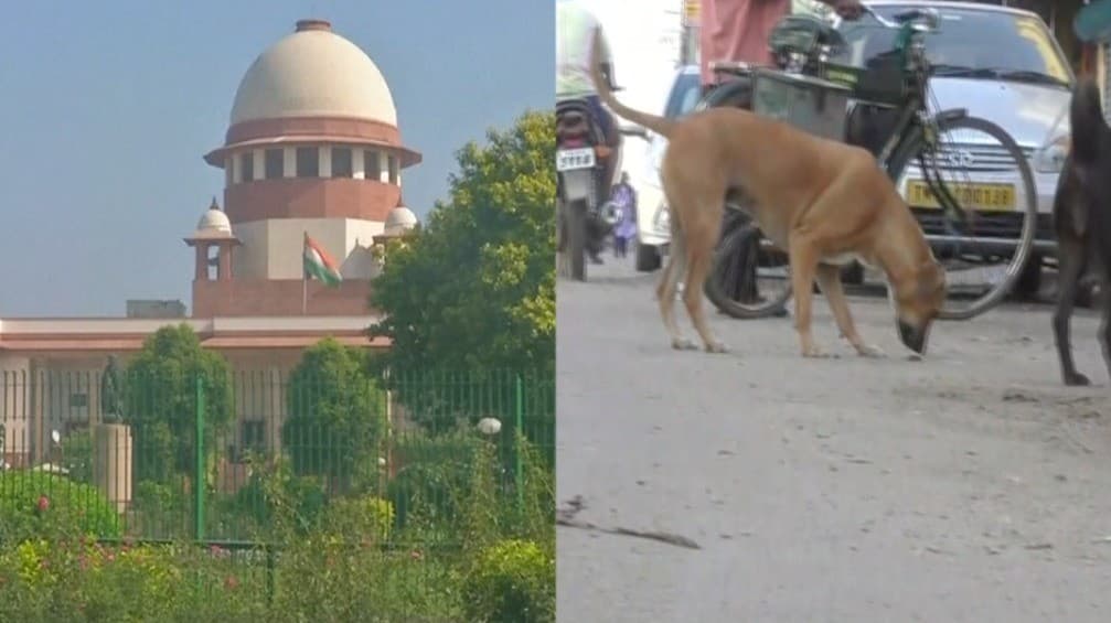 "பேருந்து நிலையங்களில் இருந்து நாய்களை அப்புறப்படுத்த வேண்டும்" - உச்சநீதிமன்றம்