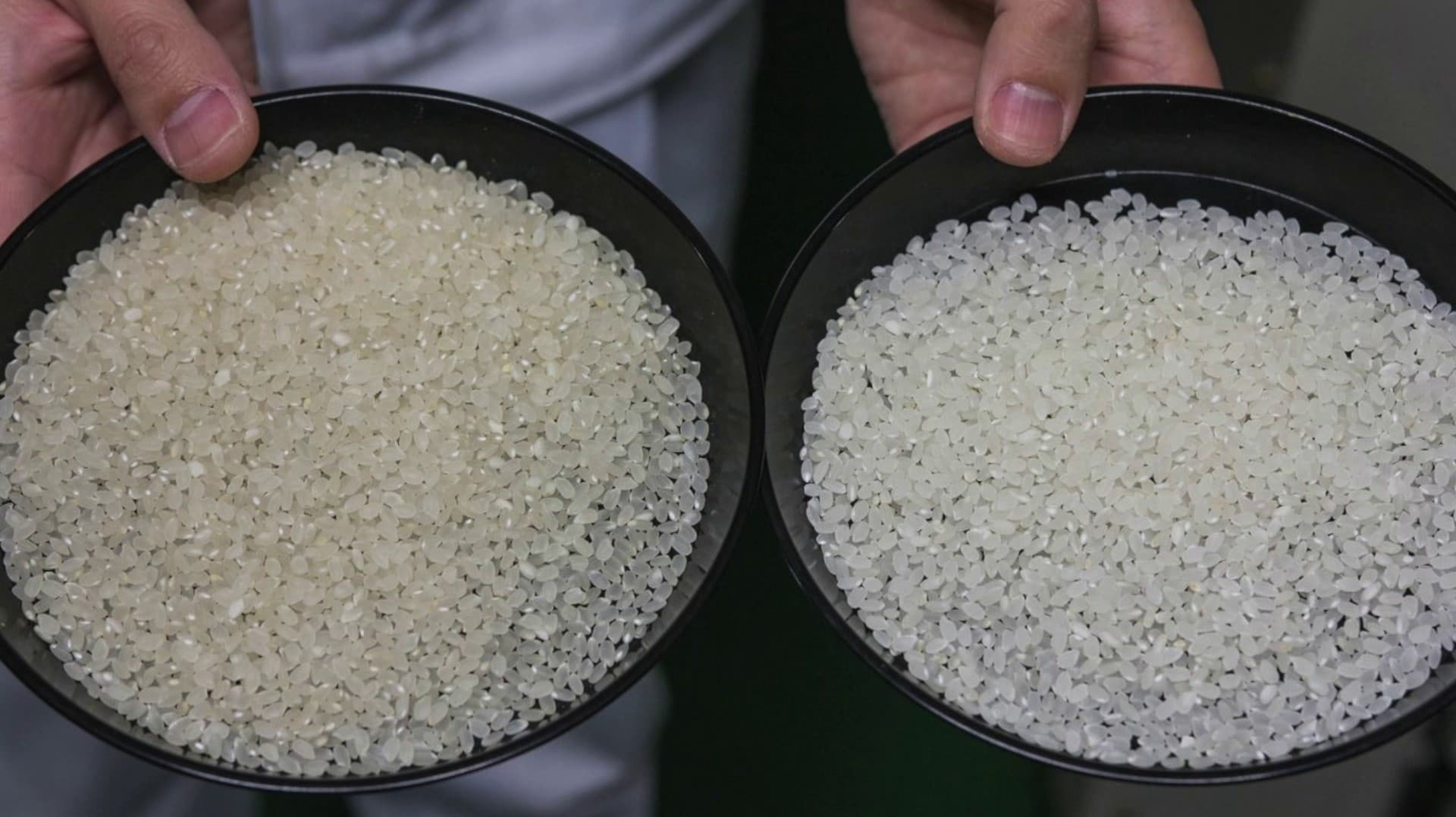 உலகின் விலை உயர்ந்த அரிசி என்ற பெருமையை பெற்றது ஜப்பானின் கின்மிமாய்