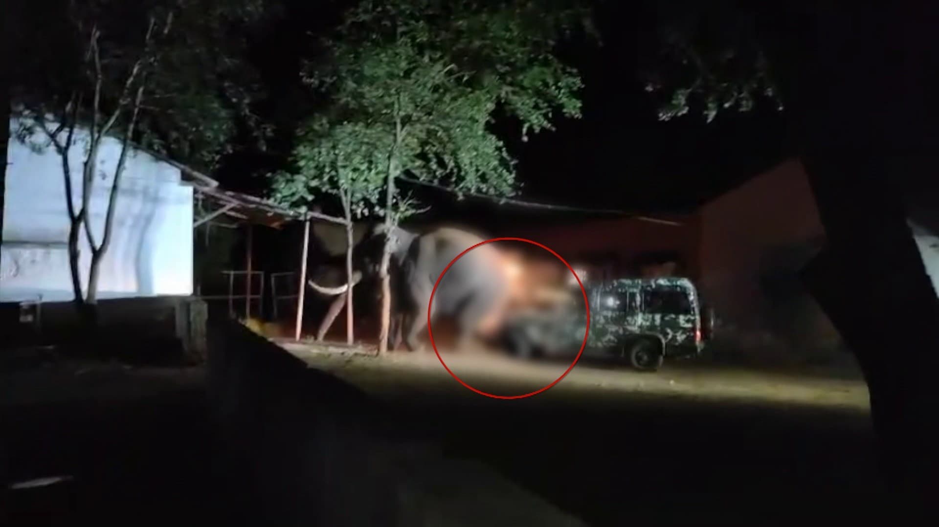 ஊருக்குள் புகுந்த பாகுபலி காட்டு யானையை விரட்டிய வனத்துறையினர்