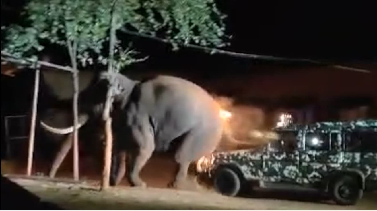 காட்டு யானை மீது வாகனத்தை மோதியதாக எழுந்த குற்றச்சாட்டு..! வனத்துறை விளக்கம்..!