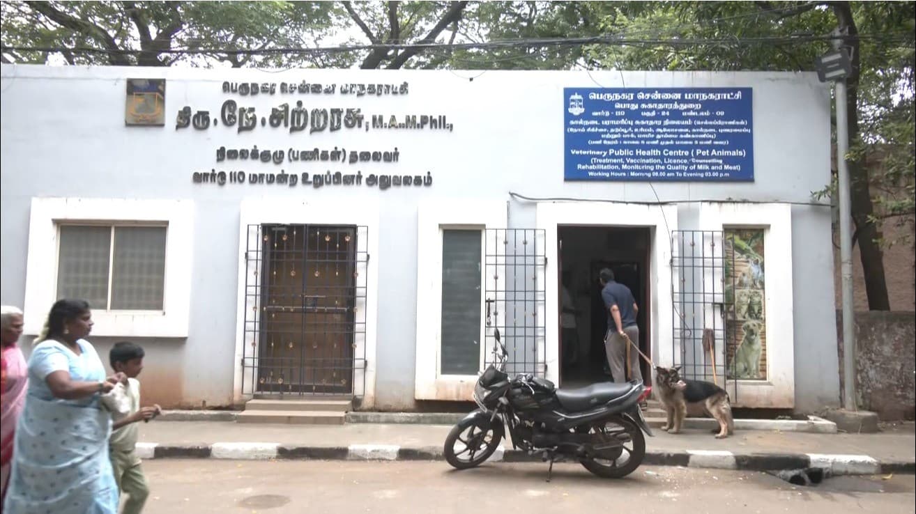 சென்னையில் 6 இடங்களில் செல்லப் பிராணிகளுக்கான சிறப்பு முகாம்..