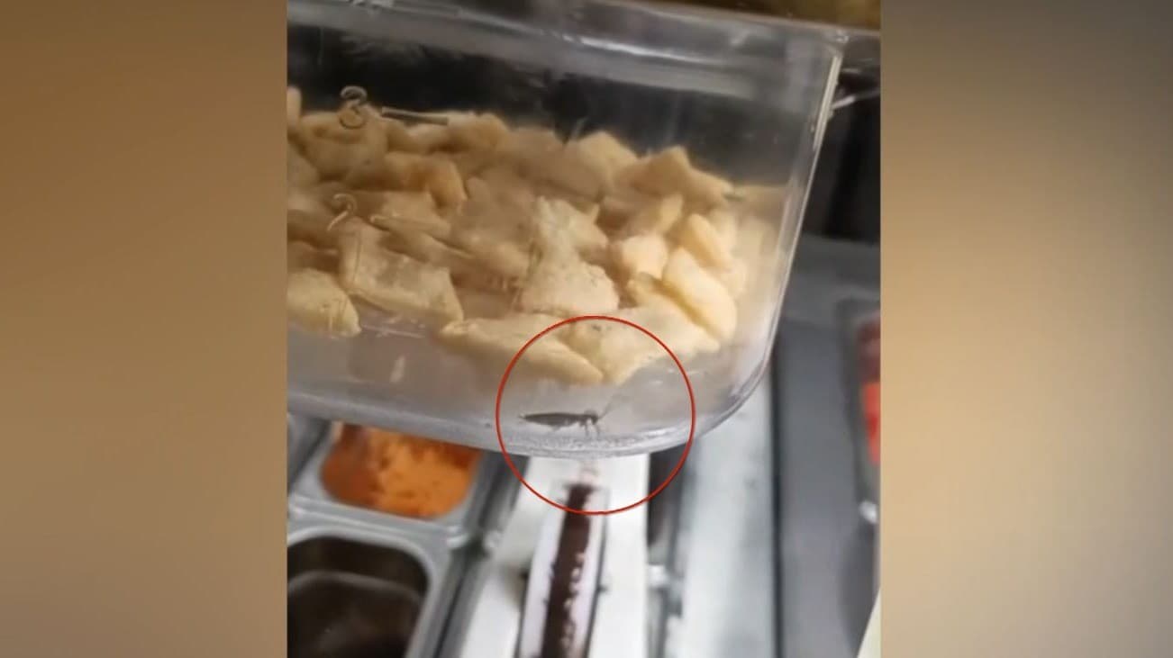 'ஸ்ரீ குப்தா பவன்' மிக்சரில் கரப்பான் பூச்சி! வாடிக்கையாளர் புகார்