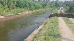 பல்லடம் அருகே பரம்பிக்குளம் ஆழியாறு கால்வாய் கரை உடைந்து சேதம்