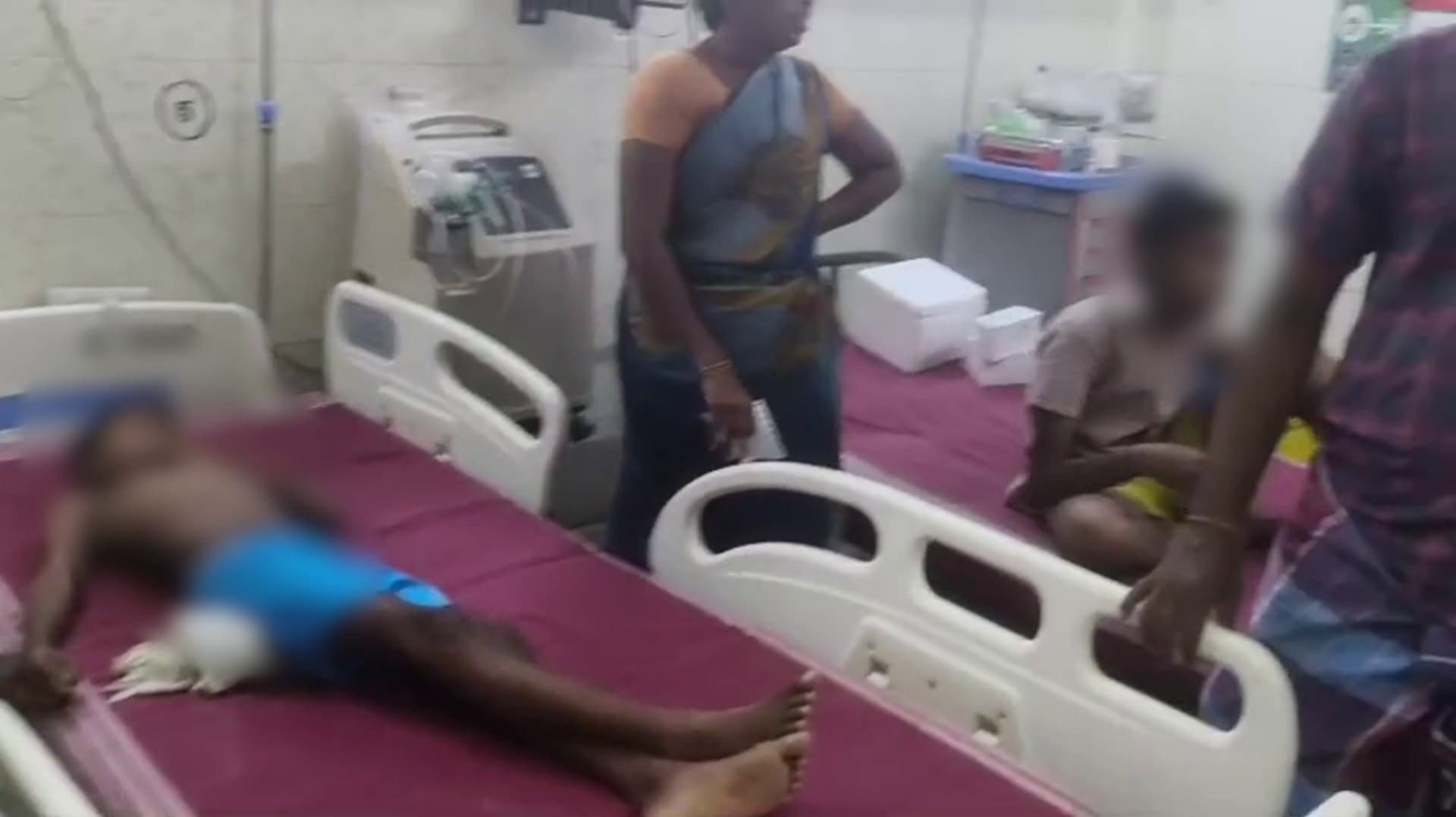 சிறுவர்கள் உட்பட 7 பேரை விரட்டி விரட்டி கடித்த தெருநாய்