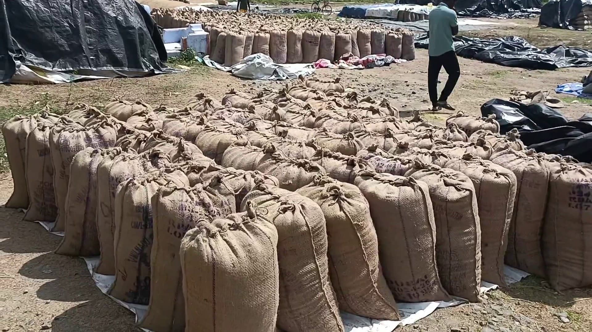 அரசு நெல் கொள்முதல் நிலையத்தில் 5000 நெல் மூட்டைகள் தேக்கம்