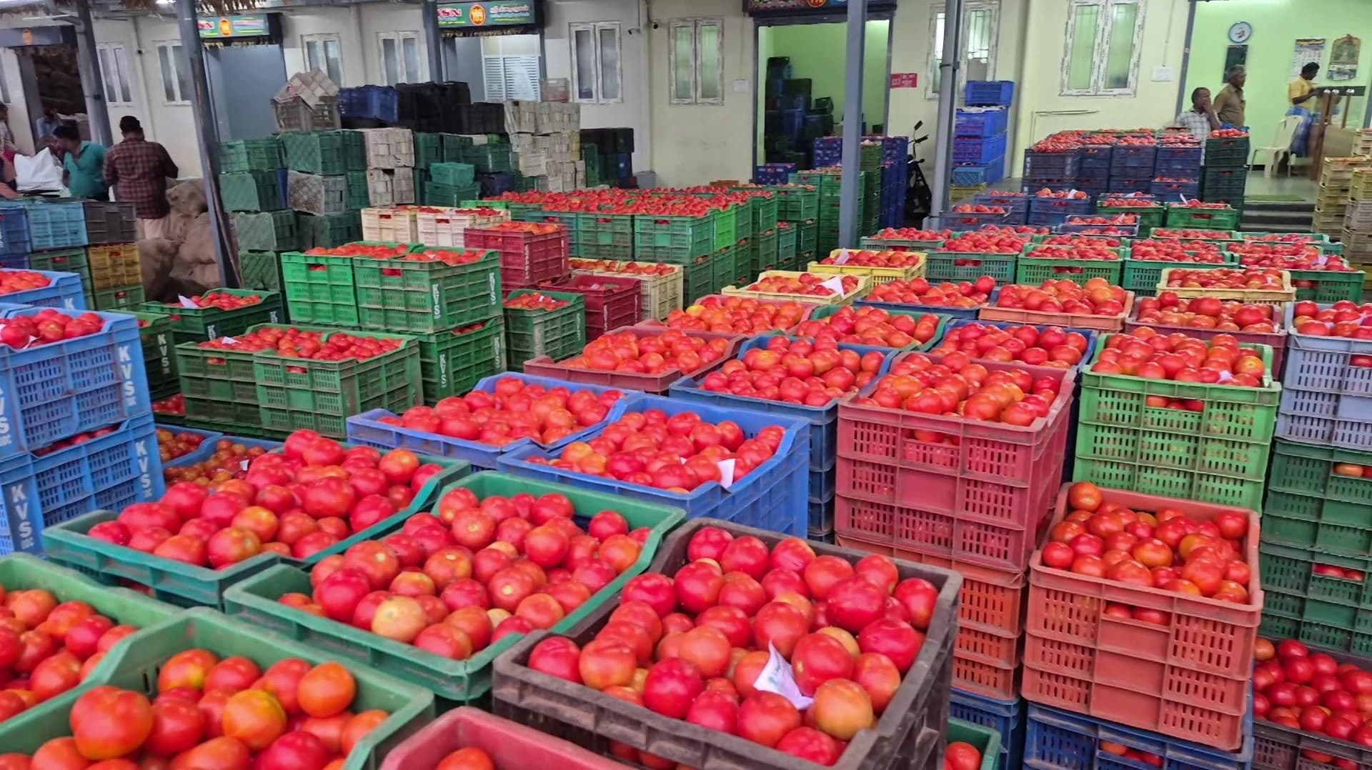 தக்காளியின் விலை கிலோவுக்கு ரூ.30 உயர்வு : விவசாயிகள் மகிழ்ச்சி