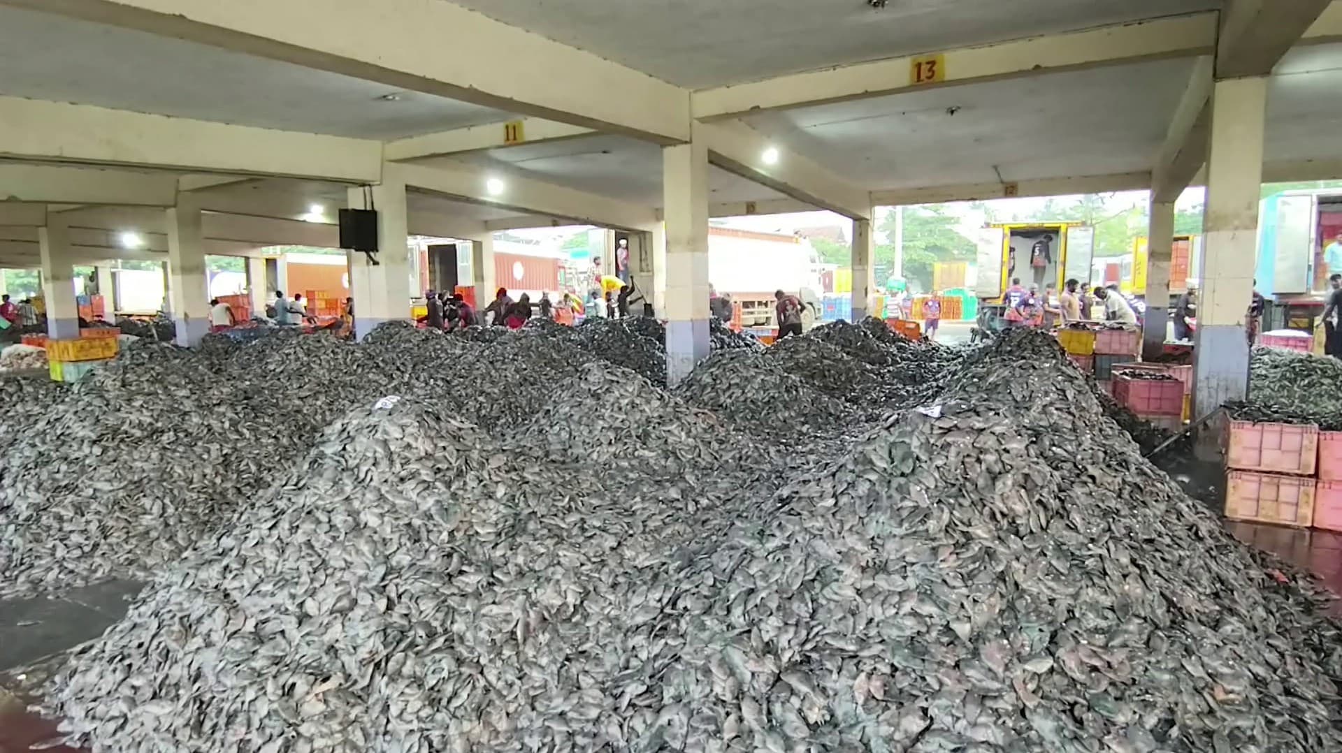 வலையில் சிக்கிய கிளாத்தி மீன்கள் மீன்பிடி துறைமுகத்தில் மலைபோல் குவிப்பு