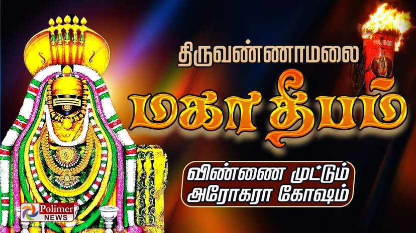 🔴LIVE:திருவண்ணாமலை கார்த்திகை தீபத்திருவிழா - தொடர் நேரலை