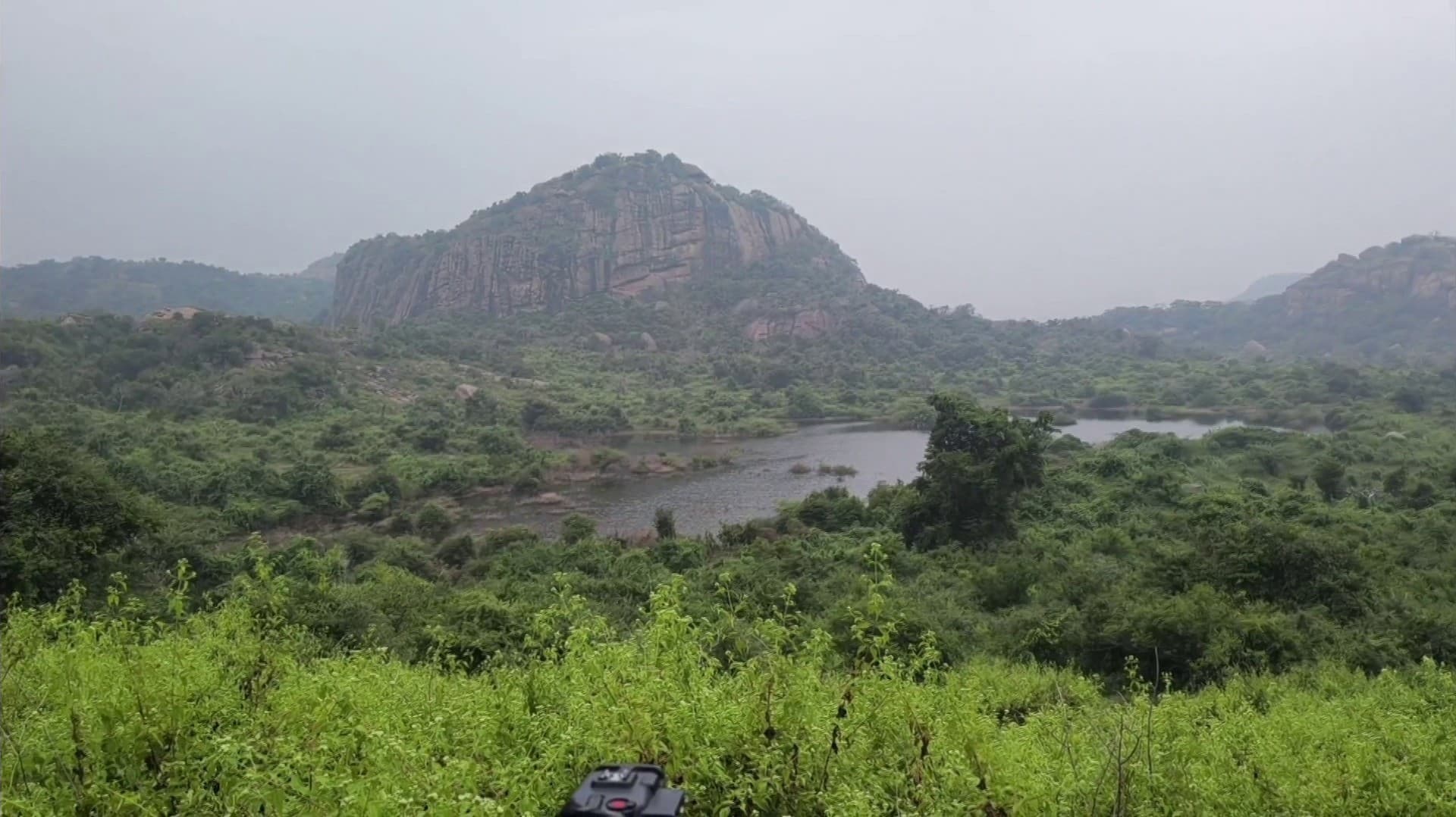 பேரணாம்பட்டு வனப்பகுதியில் 20 நாட்களில் 5 யானைகள் உயிரிழப்பு.. வனத்துறை அதிகாரிகள் ஆய்வு