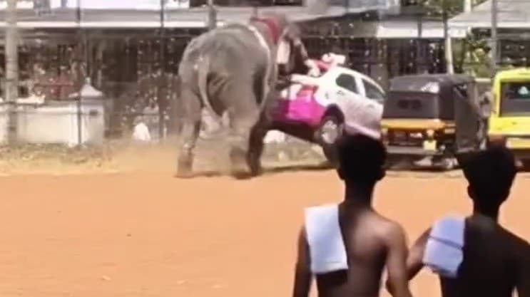 கோயில் திருவிழாவில் மிரண்டு ஓடி போலீஸ் காரை தந்தத்தால் தூக்கிய யானை