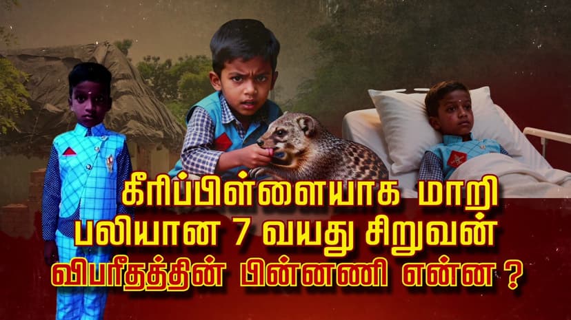 கீரிப்பிள்ளை யாக மாறி பலியான 7 வயது சிறுவன்... விபரீதத்தின் பின்னணி என்ன ?