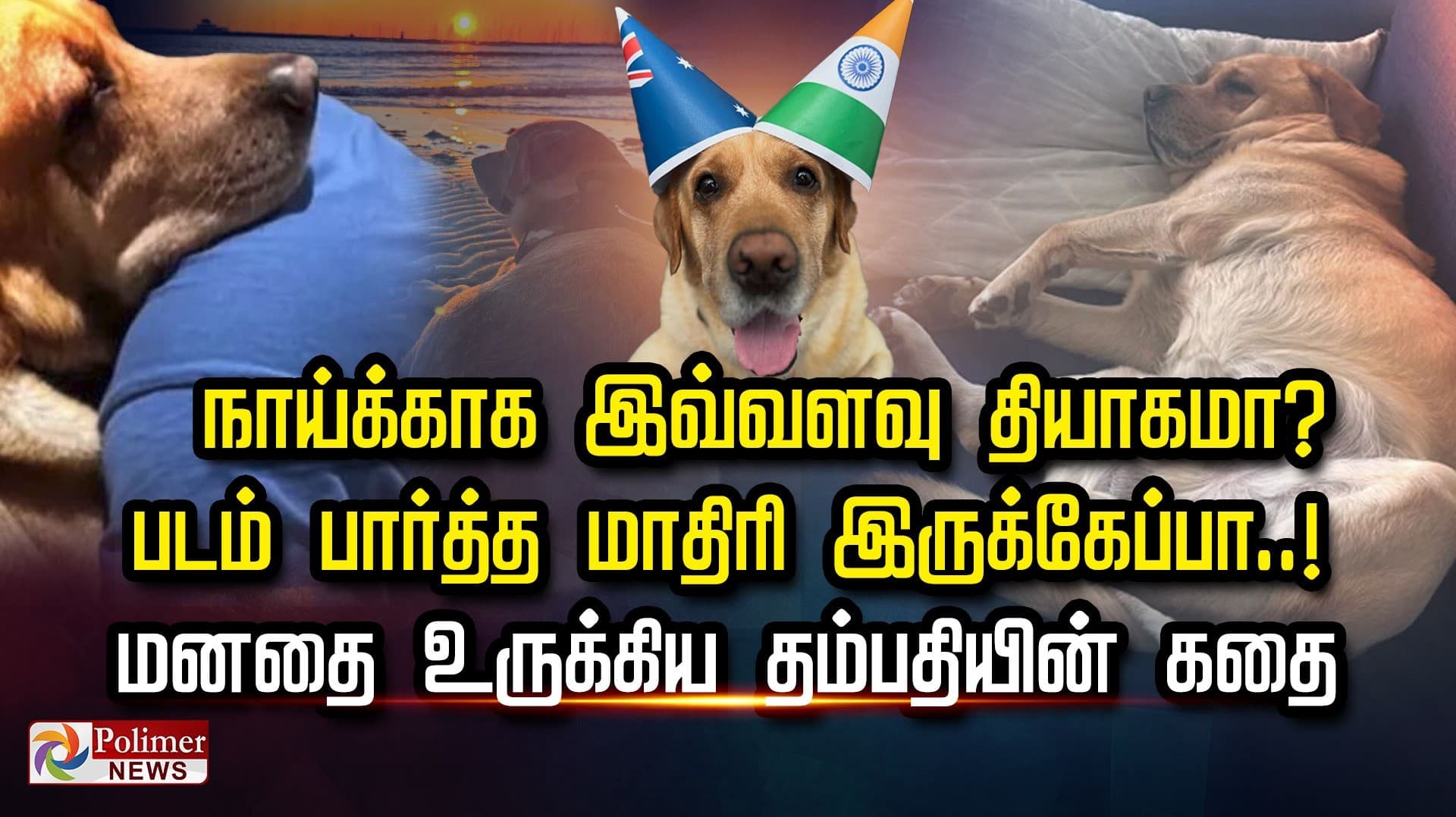 நாய்க்காக இவ்வளவு தியாகமா? படம் பார்த்த மாதிரி இருக்கேப்பா..!
மனதை உருக்கிய தம்பதியின் கதை