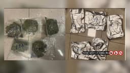 சென்னைக்கு கடத்தி  வரப்பட்ட 23 கிலோ ஹைட்ரோபோனிக் உயர்ரக கஞ்சா பறிமுதல்.!