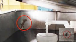 கோவிலில் வைக்கப்பட்டிருந்த குடிநீர் மிஷினில் பூச்சிகள்.. பக்தர்கள் அதிர்ச்சி.!